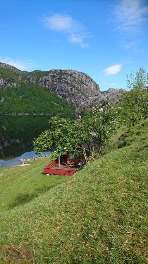 Ved Preikestolen * Forsand